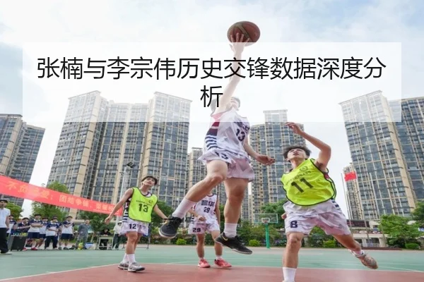 张楠与李宗伟历史交锋数据深度分析